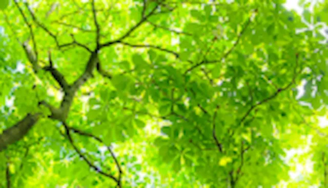 ISO 14001:2015 Awareness Course (in English)