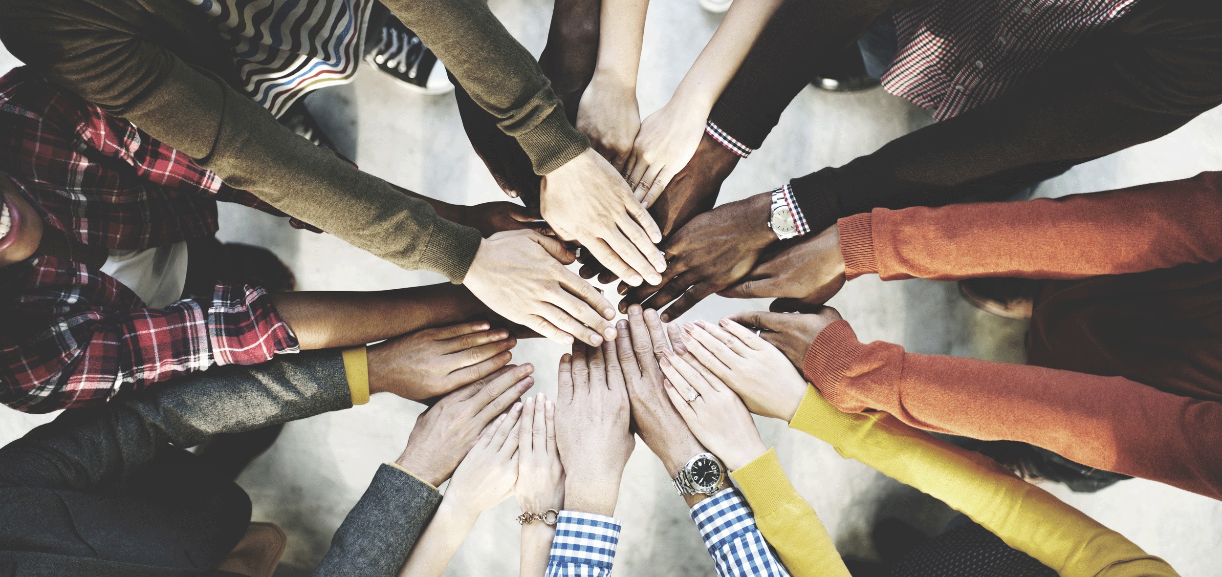 New Learning Management System: Easy access to every course