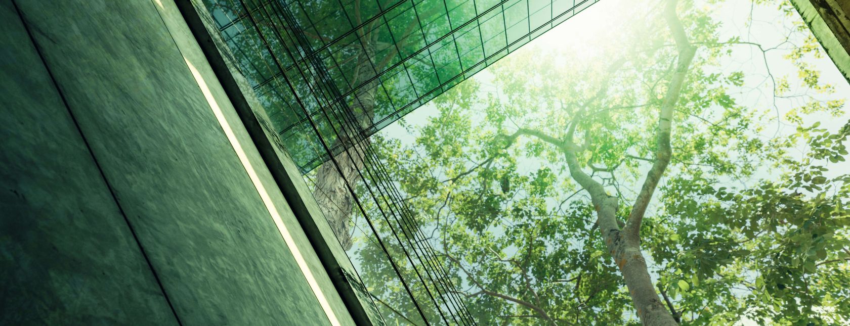 Eco-friendly building in modern city