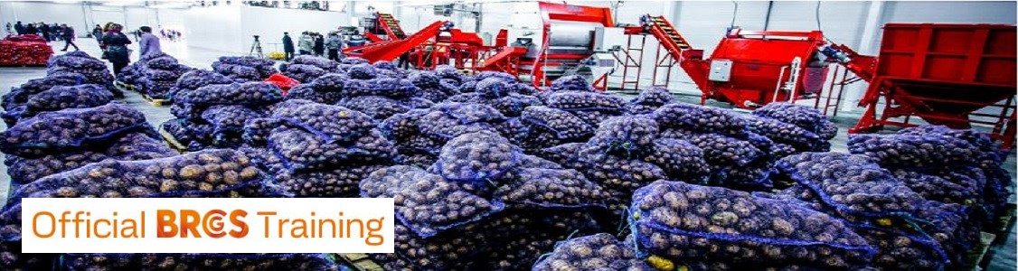 Orange fruits in a washing machine of a modern production line