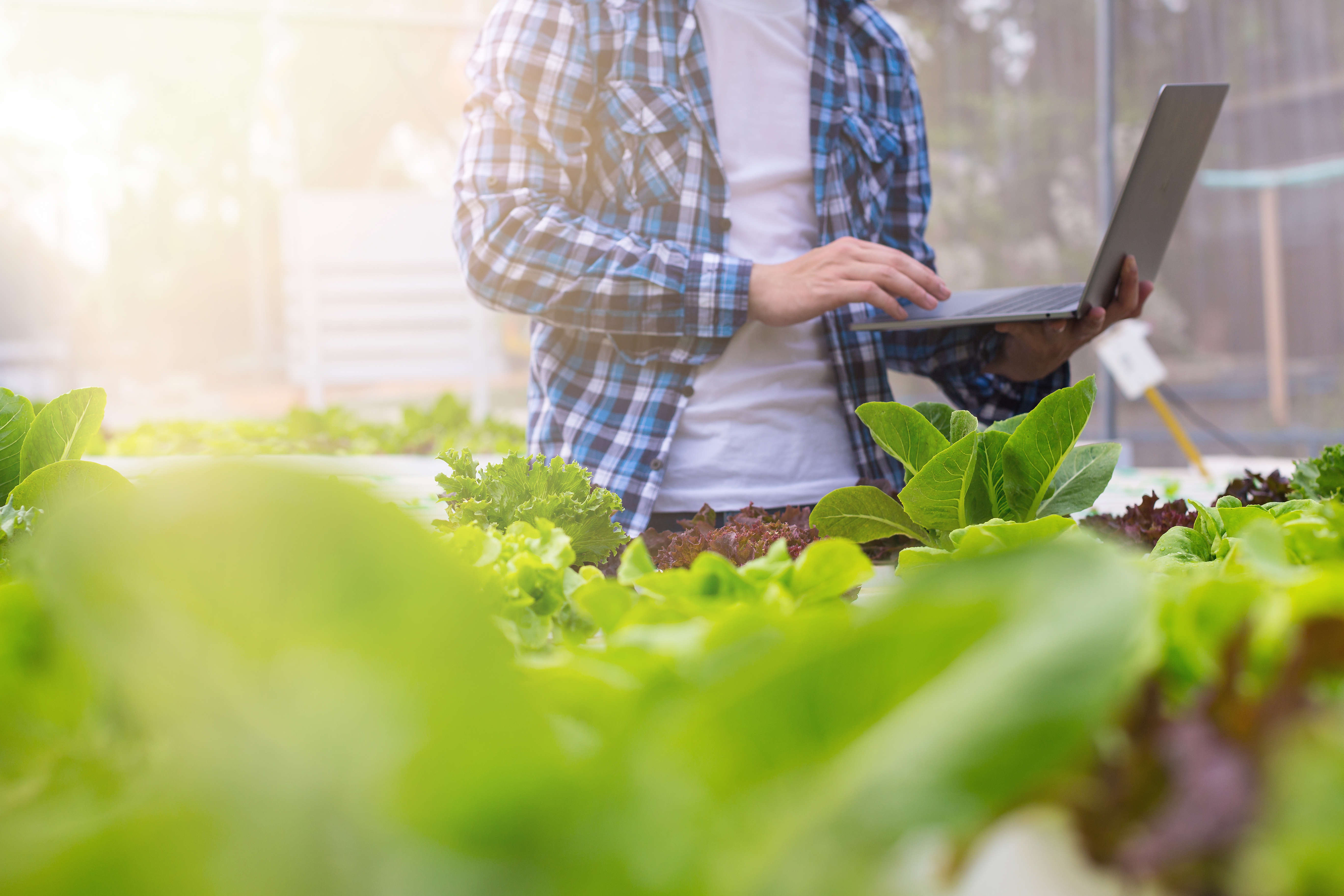 BRCGS Global Standard for Food Safety