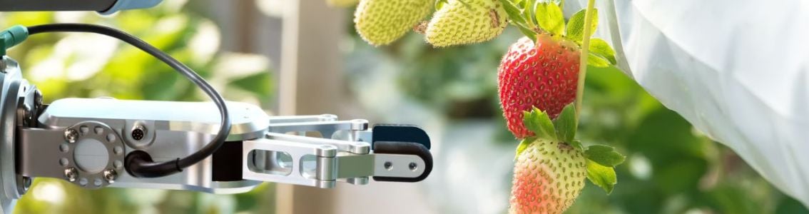 Farmer use smart farm automation robot to prevent food safety risks