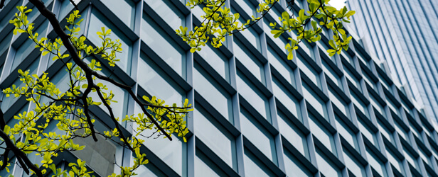 Životné prostredie a energia