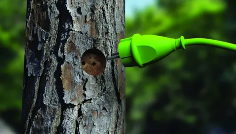 FSC® - Zabezpečenie reťazca zhody
