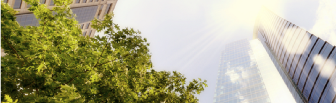 ISO 2015 transition auditor experiences DNV GL