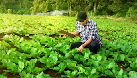 ISO 14001:2015 Awareness Course (in English)