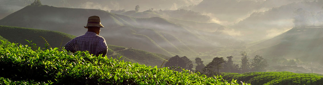 Sustainable sourcing